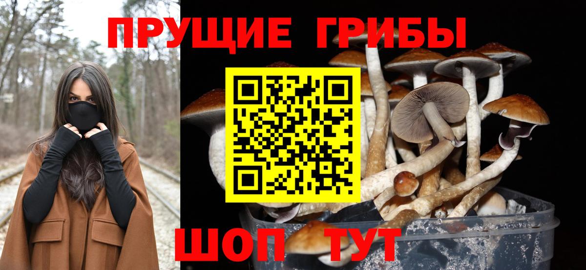 Галлюциногенные грибы мицелий  Псилоцибиновые грибы Psilocybine cubensis  купить  сайты  Чебаркуль  Вход с VPN 